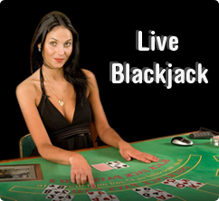 Live Blackjack